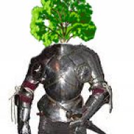 Forest_Knight